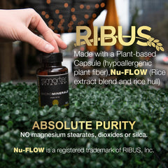 SmarterVitamins plant-based vegan capsules for daily mineral support