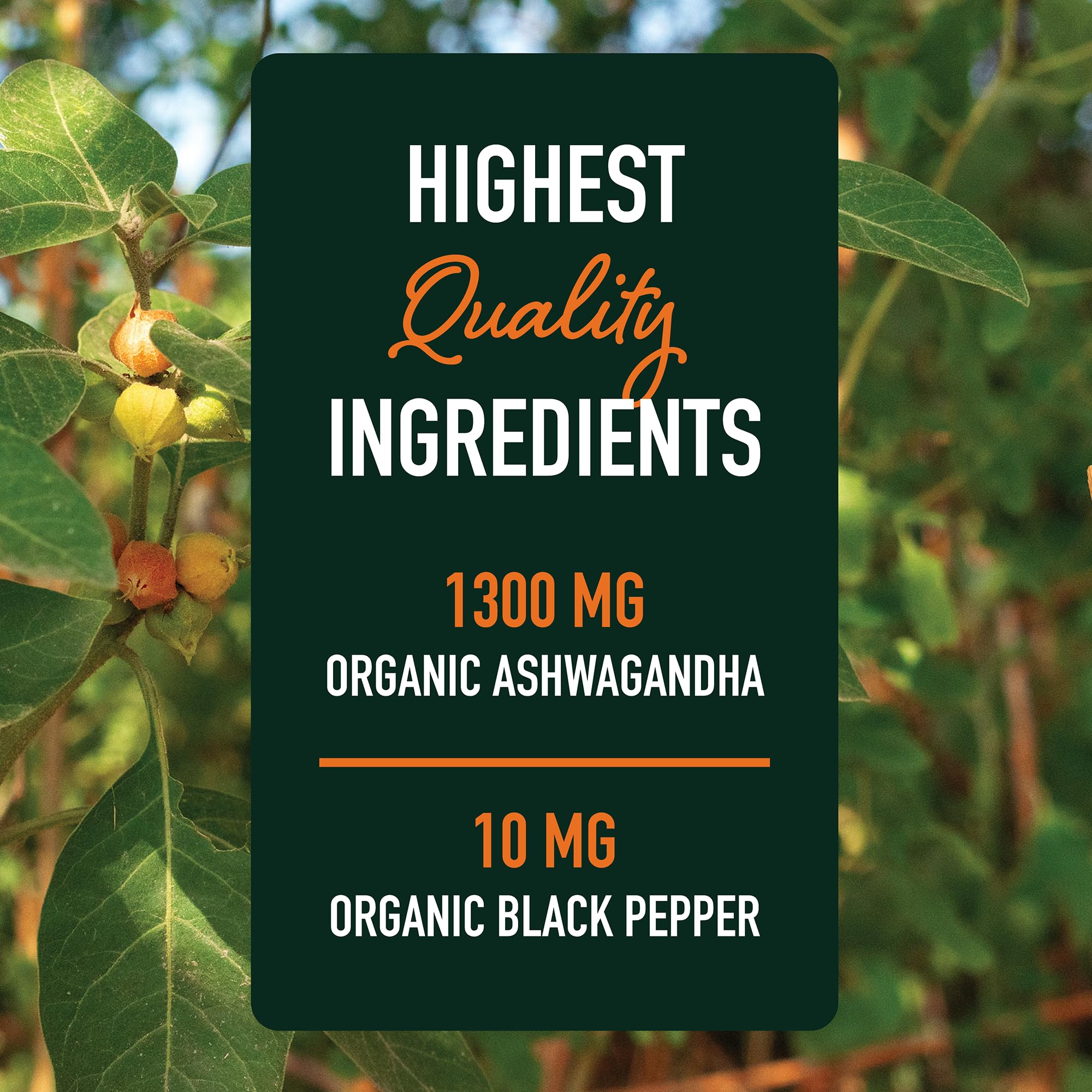 SMNutrition Ashwagandha capsules in travel-friendly bottle for on-the-go use.