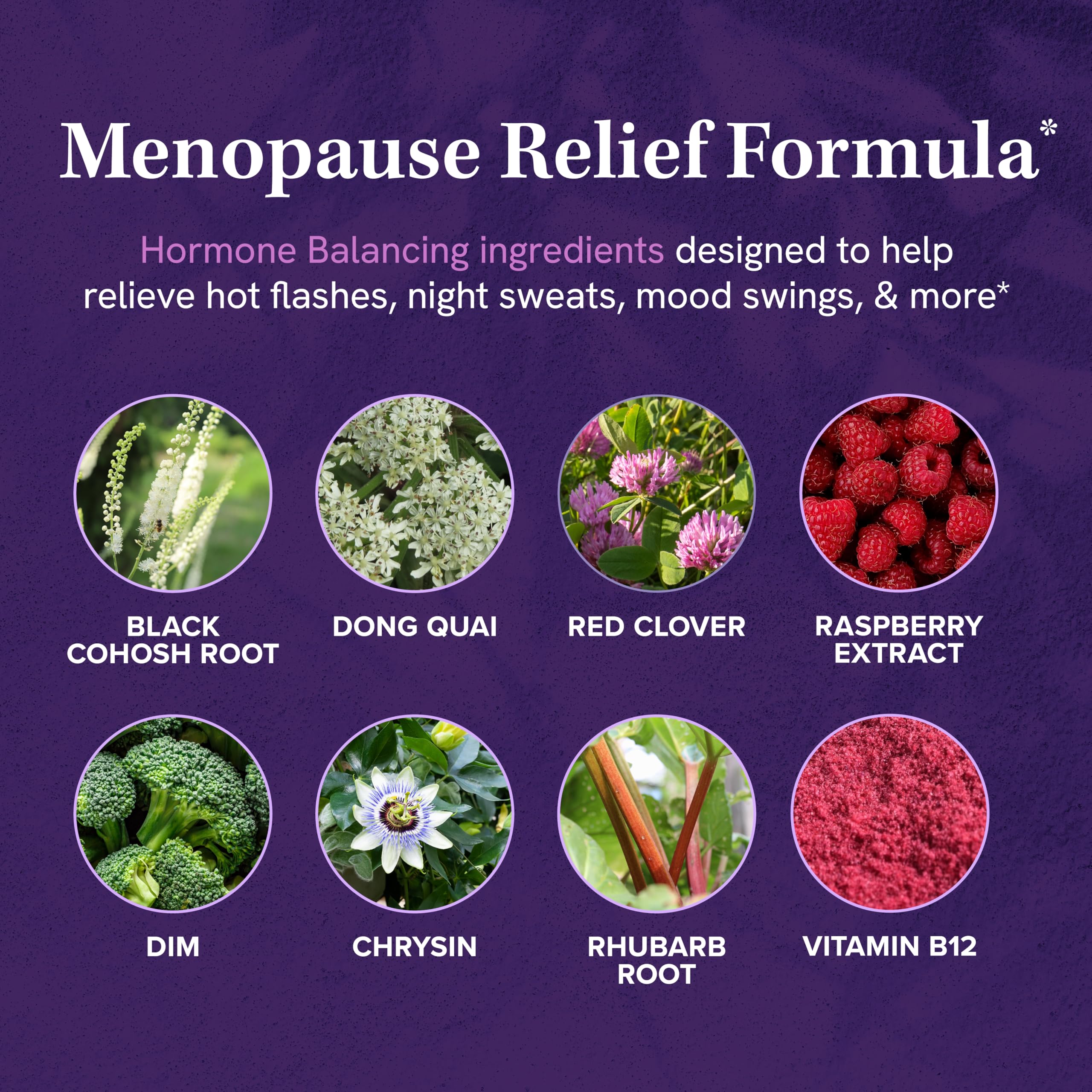 SMNutrition DIM capsules close-up showing digestive and metabolic balance benefits.