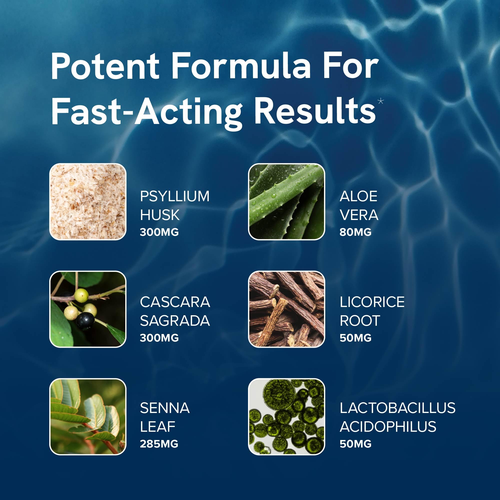 SMNutrition probiotic bottle highlighting gut health support and potential bloating relief