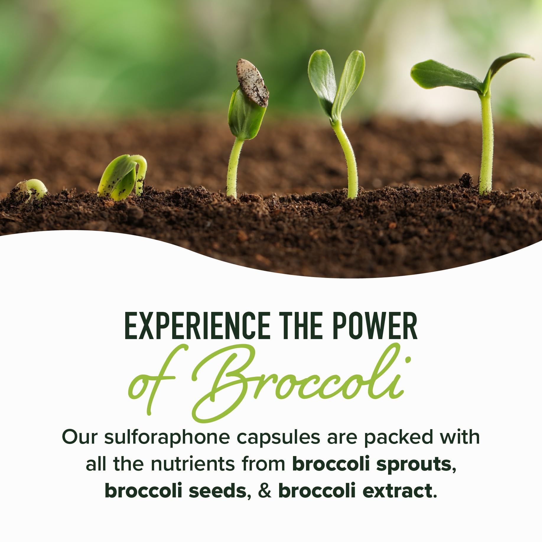 SMNutrition third-party tested potency label indicating reliable strength.