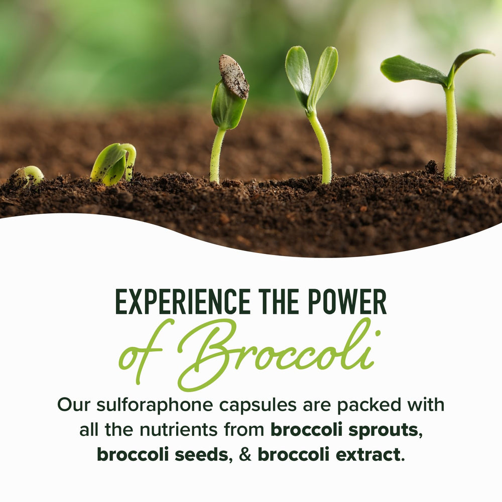 SMNutrition third-party tested potency label indicating reliable strength.