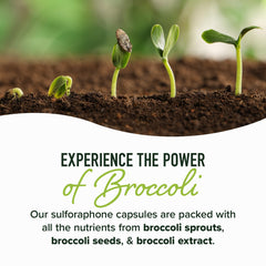 SMNutrition third-party tested potency label indicating reliable strength.