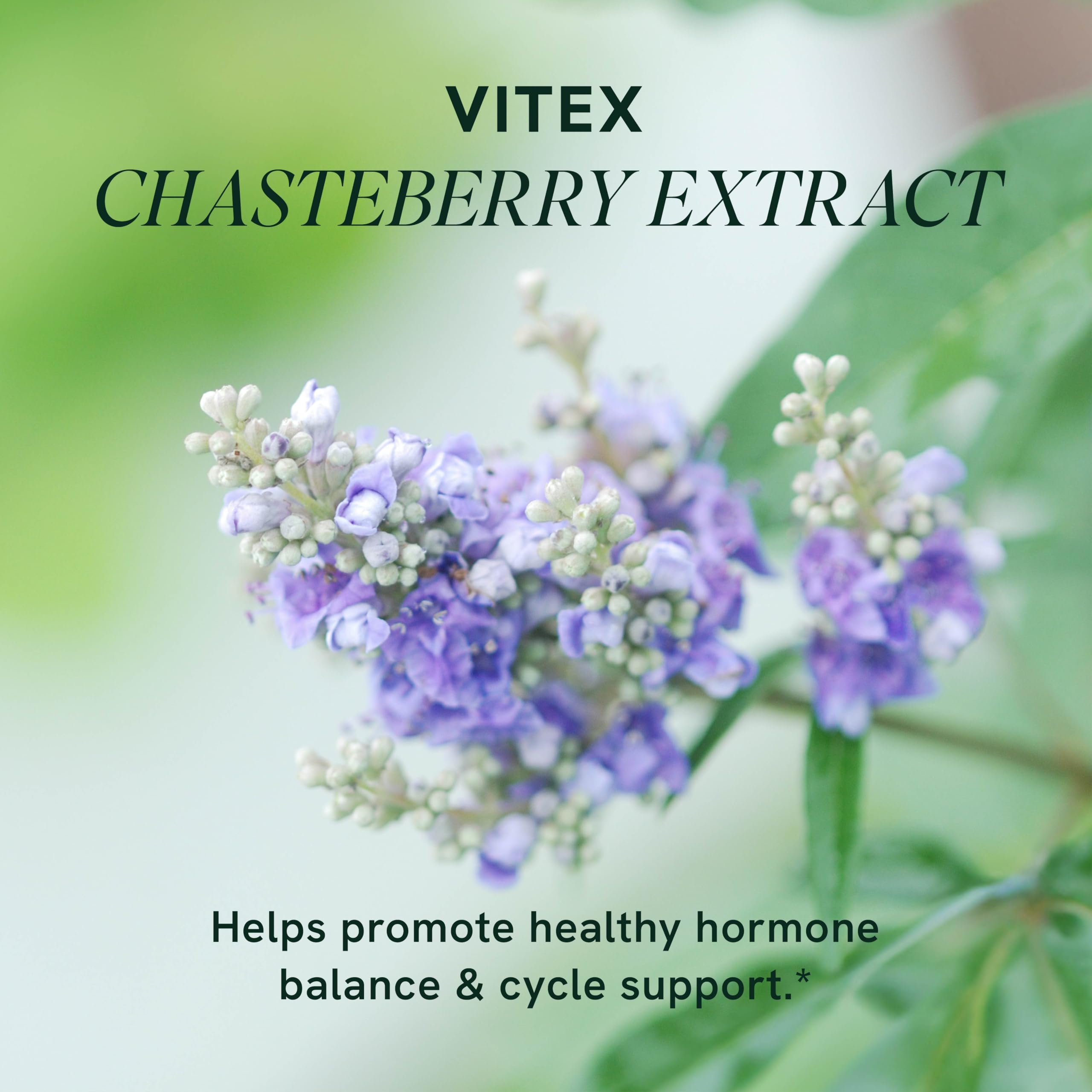 SMNutrition Vitex packaging displayed with clean design for wellness routines.