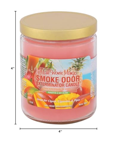 Smoke Odor Exterminator Maui Wowie Mango jar candle side view on a coffee table enhances ambiance