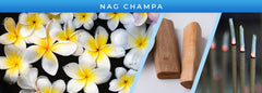 Smoke Odor Exterminator Nag Champa gift-ready candle set; ideal for gifting non-smokers.