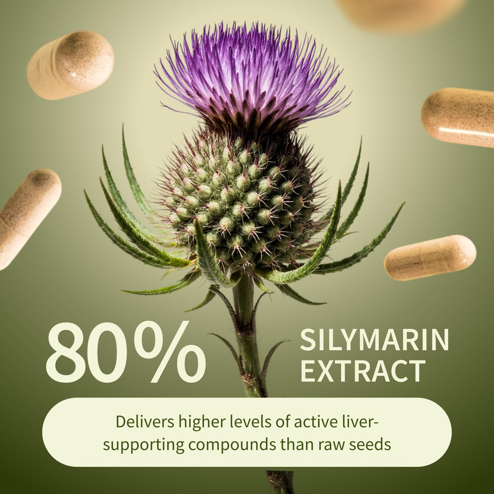 Snap Supplements Artichoke Extract Digestive Support image emphasizes artichoke extract balance.