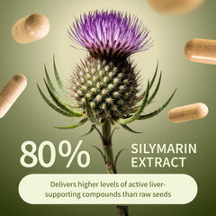 Snap Supplements Artichoke Extract Digestive Support image emphasizes artichoke extract balance.