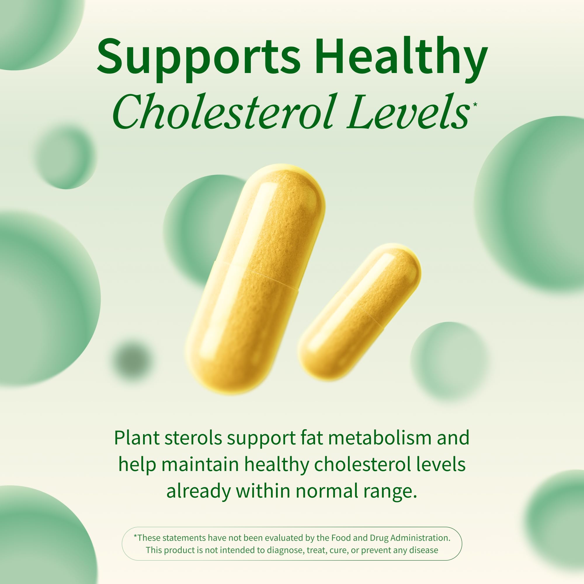 Snap Supplements Cholesterol Health garlic extract image suggesting digestive support.