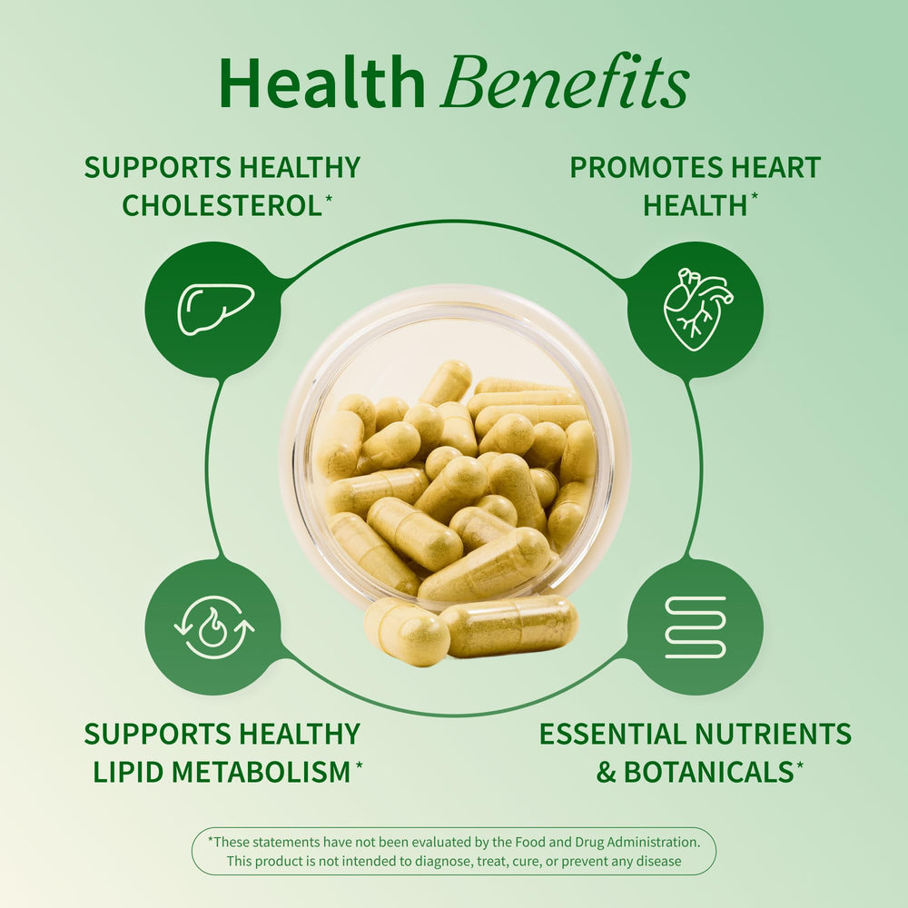 Snap Supplements Cholesterol Health milk thistle illustration emphasizing liver wellness.