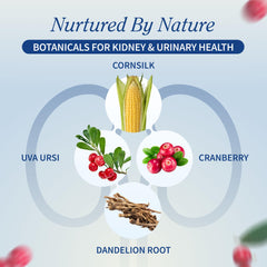 Close-up of Snap Supplements Kidney Health label with plant-based formula