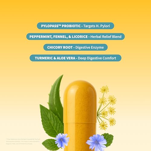 Snap Supplements turmeric-aloe-probiotics capsules close-up highlighting probiotic benefits