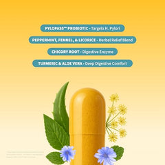 Snap Supplements turmeric-aloe-probiotics capsules close-up highlighting probiotic benefits