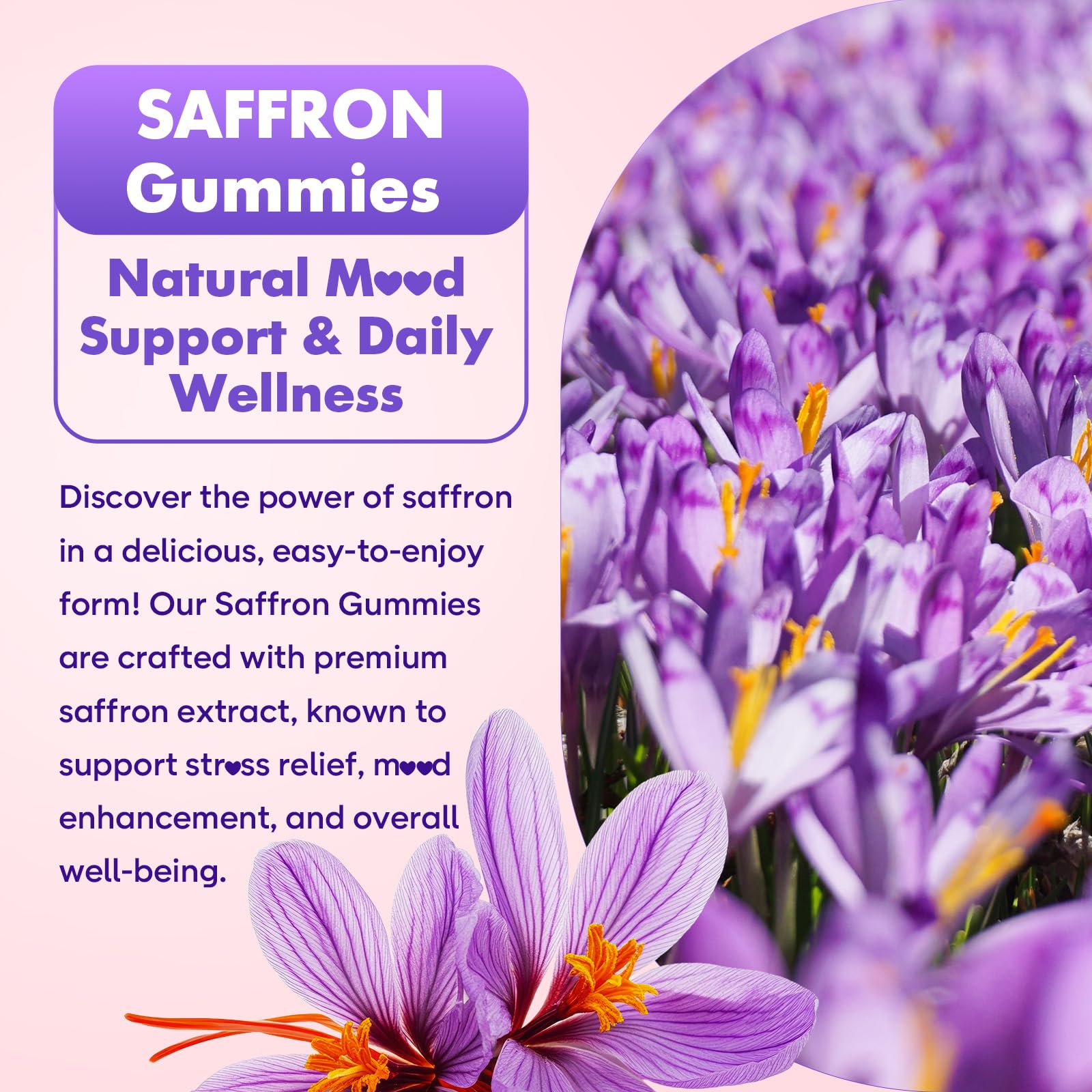 Softbear saffron gummies for adults, supports daily balance and focus.