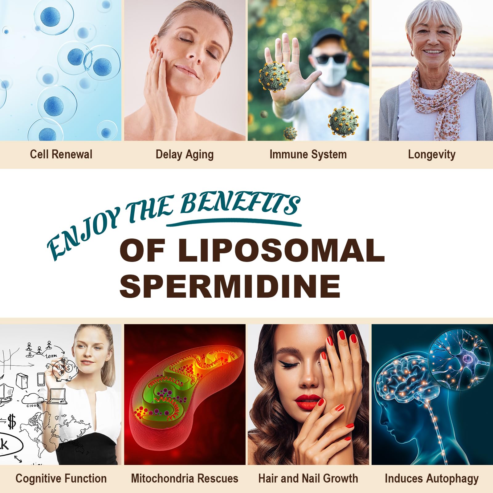 Sohahila Spermidine daily-use routine setup for mornings.