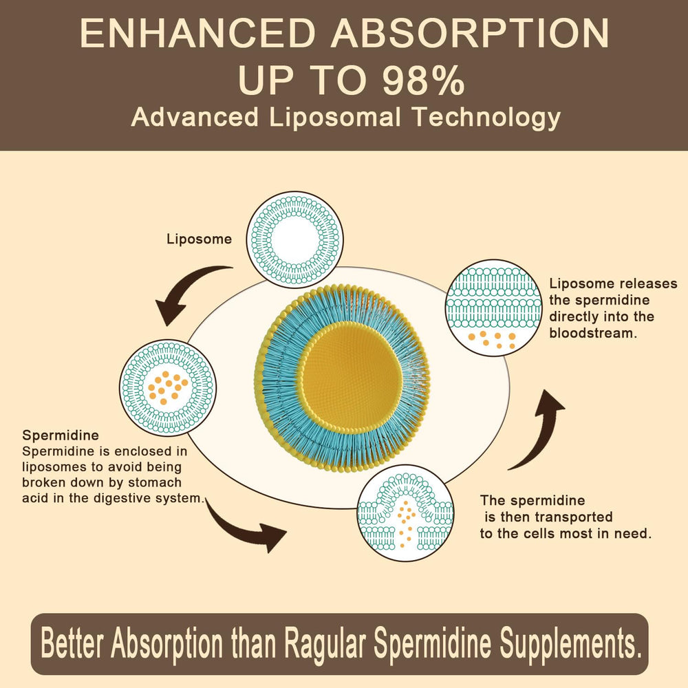 Sohahila Spermidine ingredients wrap features zinc and thiamin components.