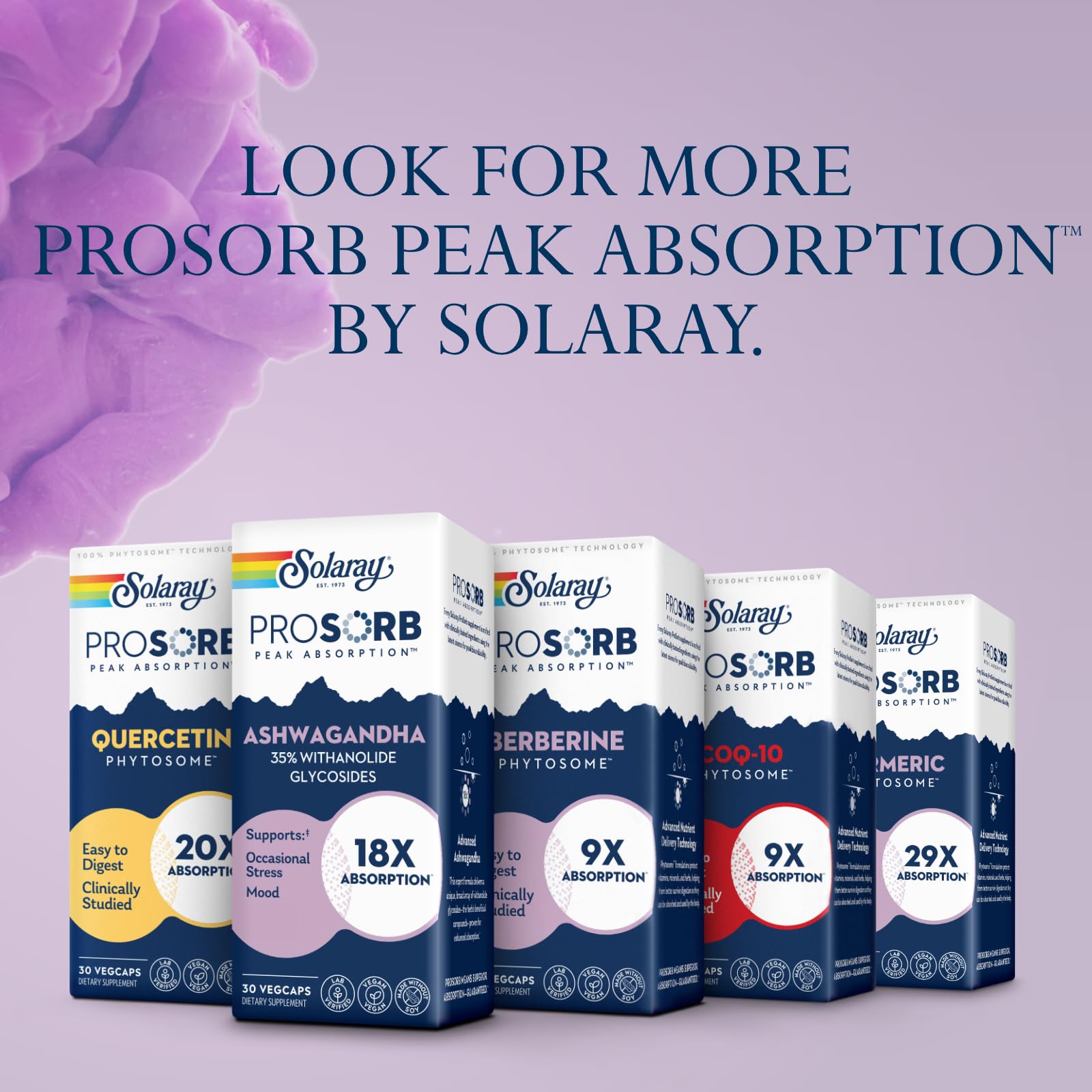 SOLARAY 60-day money-back guarantee badge visible on product
