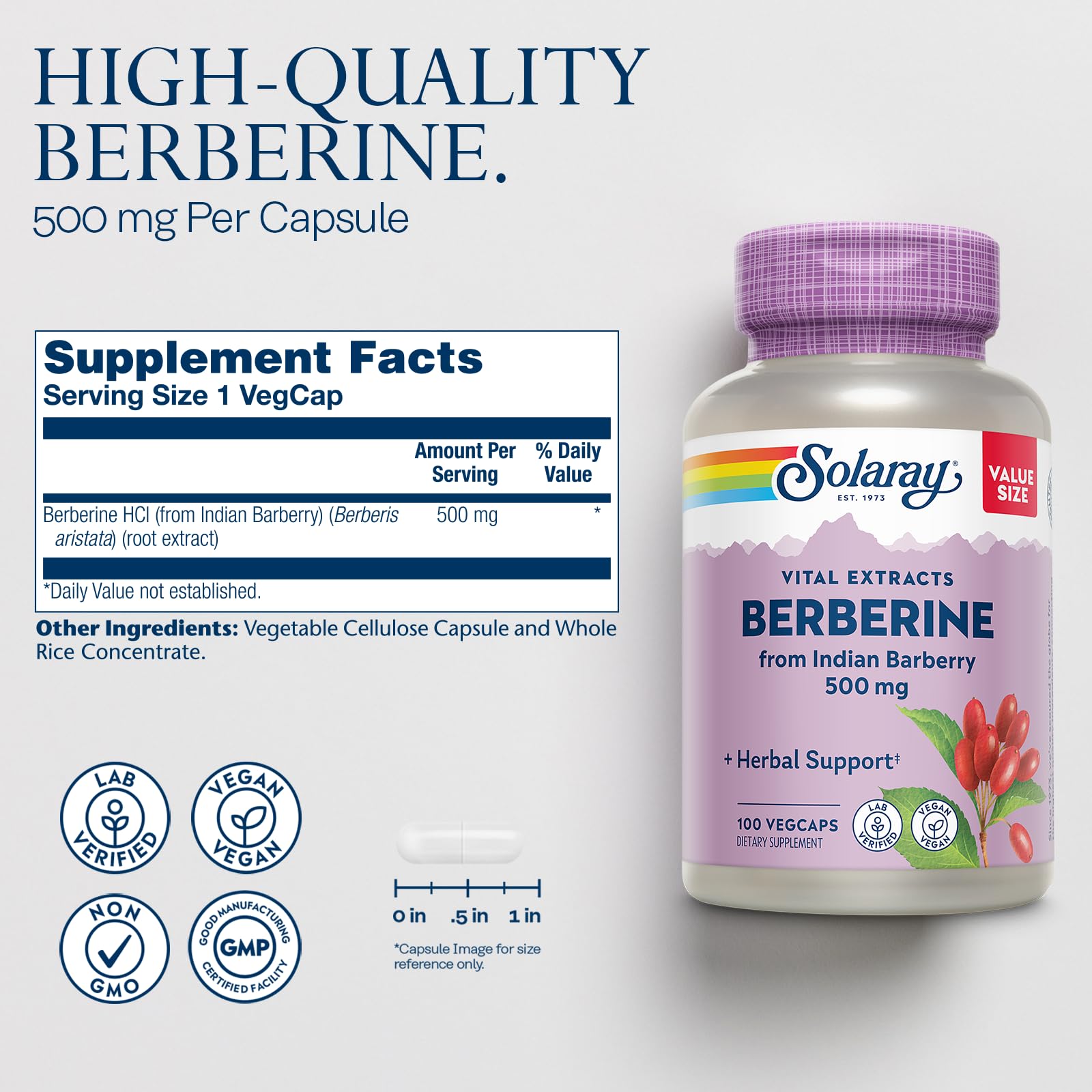 SOLARAY Berberine 500mg bottle back with product details and serving size.