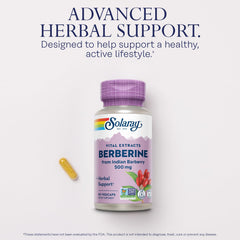SOLARAY Berberine 500mg capsules ready for daily supplementation.