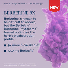 SOLARAY Berberine Phytosome absorption close up emphasizes bioavailability.