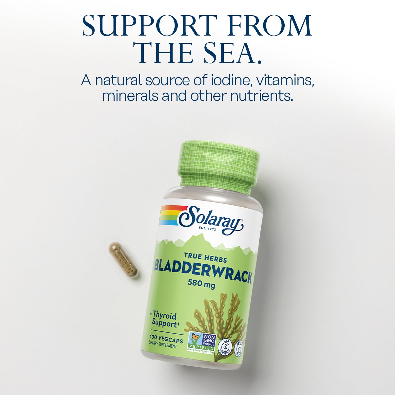 SOLARAY Bladderwrack cápsulas veganas para nutrición natural