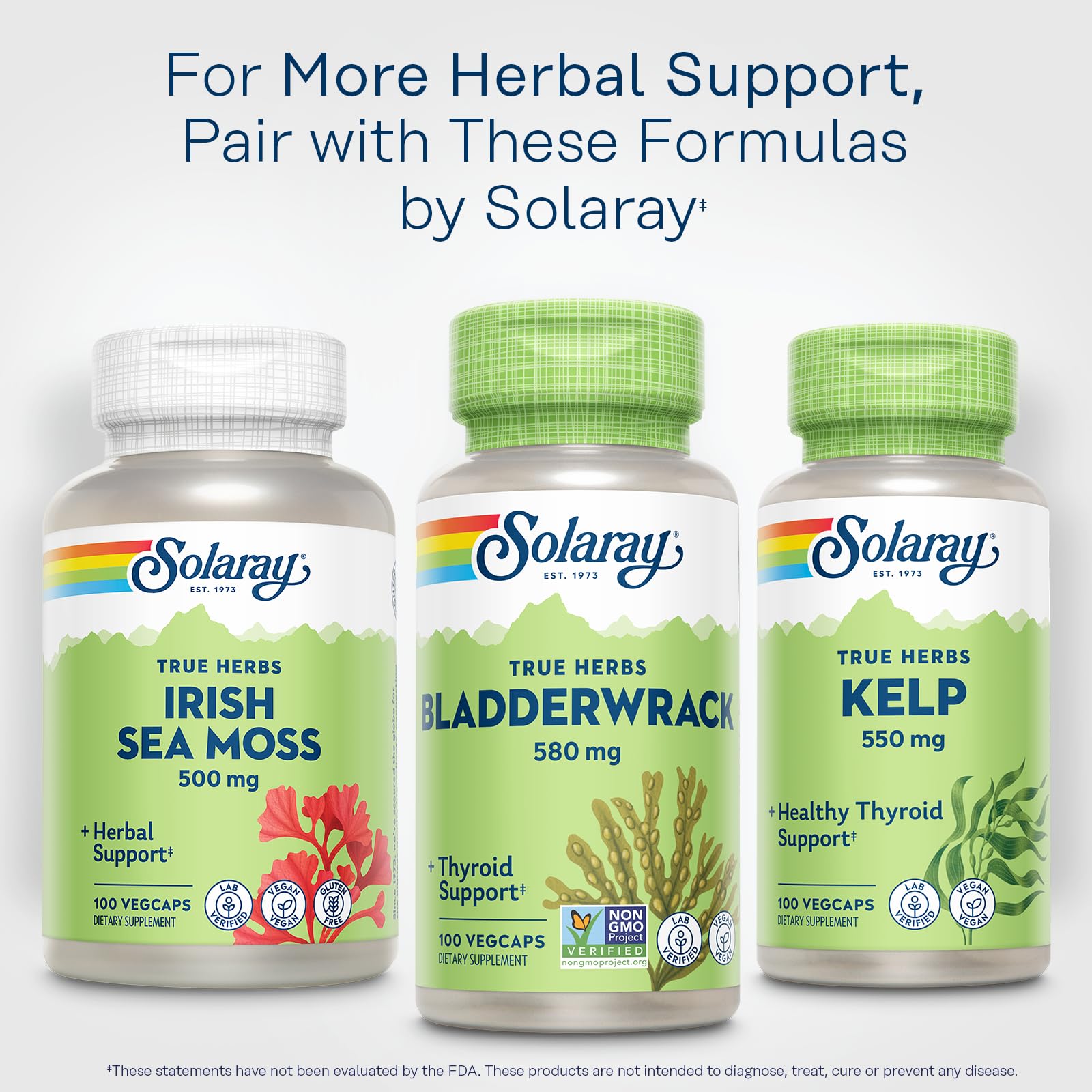 SOLARAY Bladderwrack empaque sostenible, botella reciclada