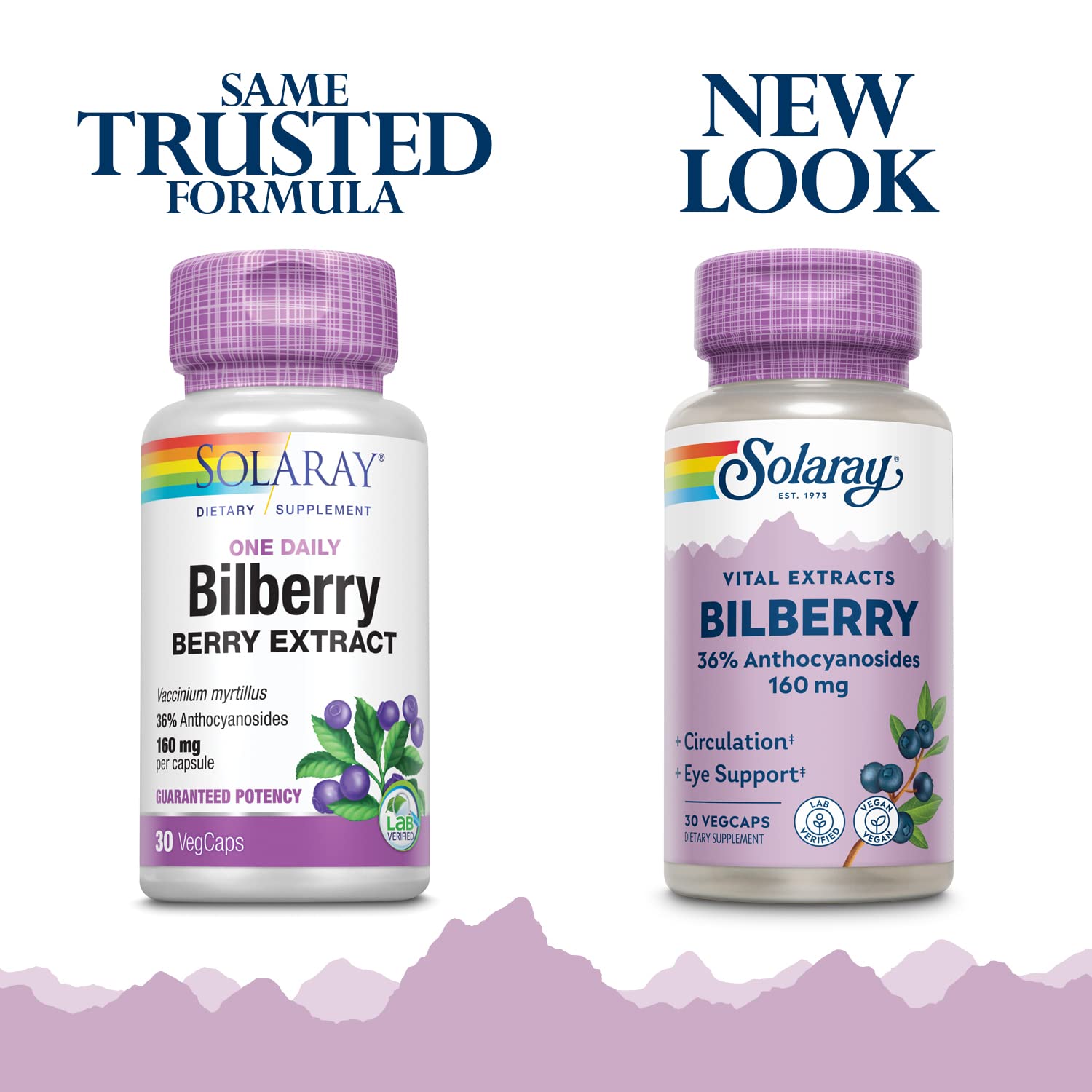 SOLARAY Blueberry extract for eye health provides antioxidant support and circulation benefits.