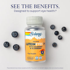 SOLARAY Blueberry Extract panel showcases natural antioxidant blend for eyes