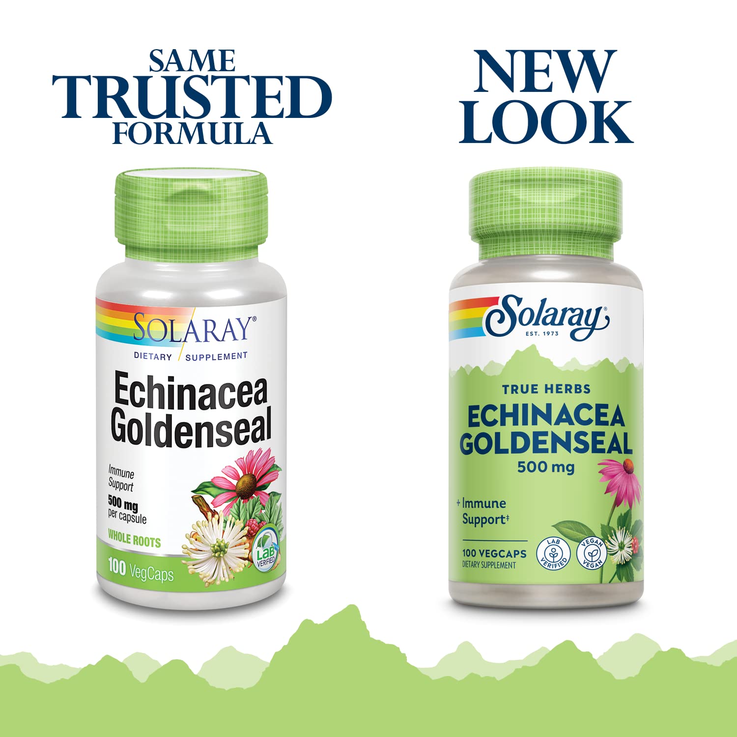SOLARAY capsules on label image emphasize vegan, plant-based daily use.