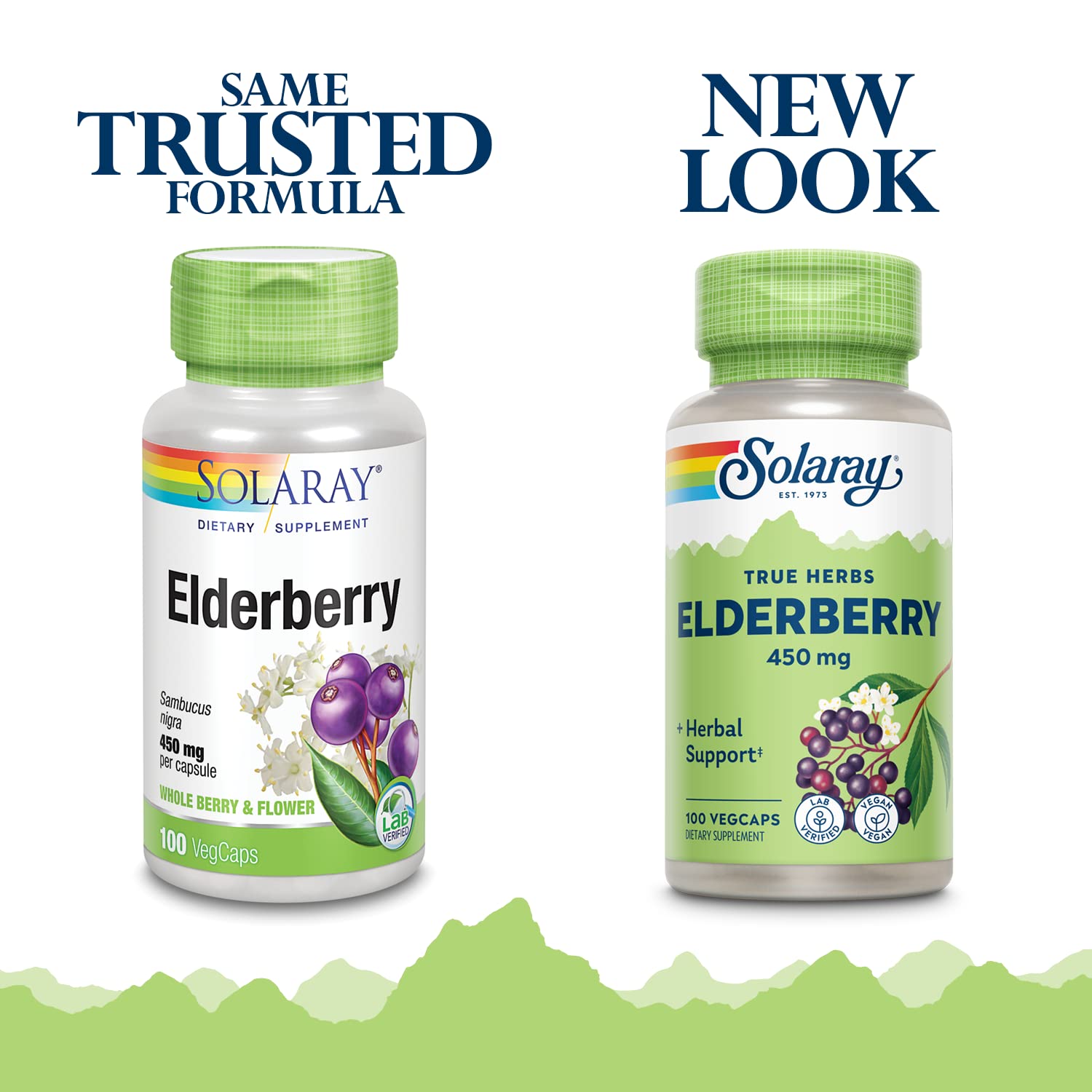 SOLARAY Elderberry capsules berries and flowers blend for holistic support.