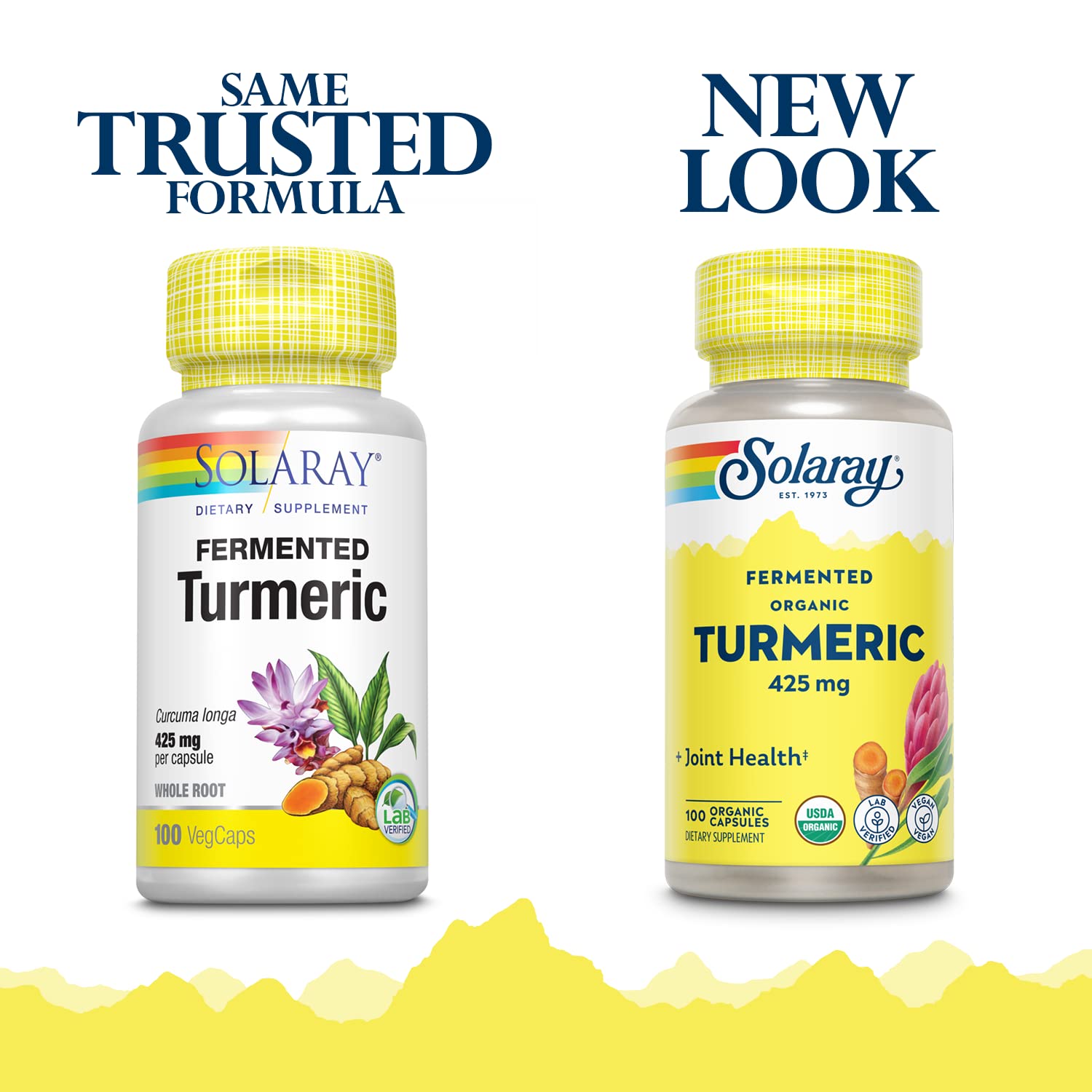 SOLARAY Fermented Turmeric Root capsules close-up highlighting skin health benefits.
