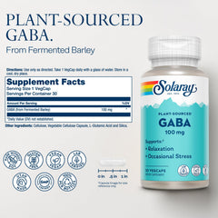 SOLARAY GABA capsules close-up highlighting daily vegan dose.