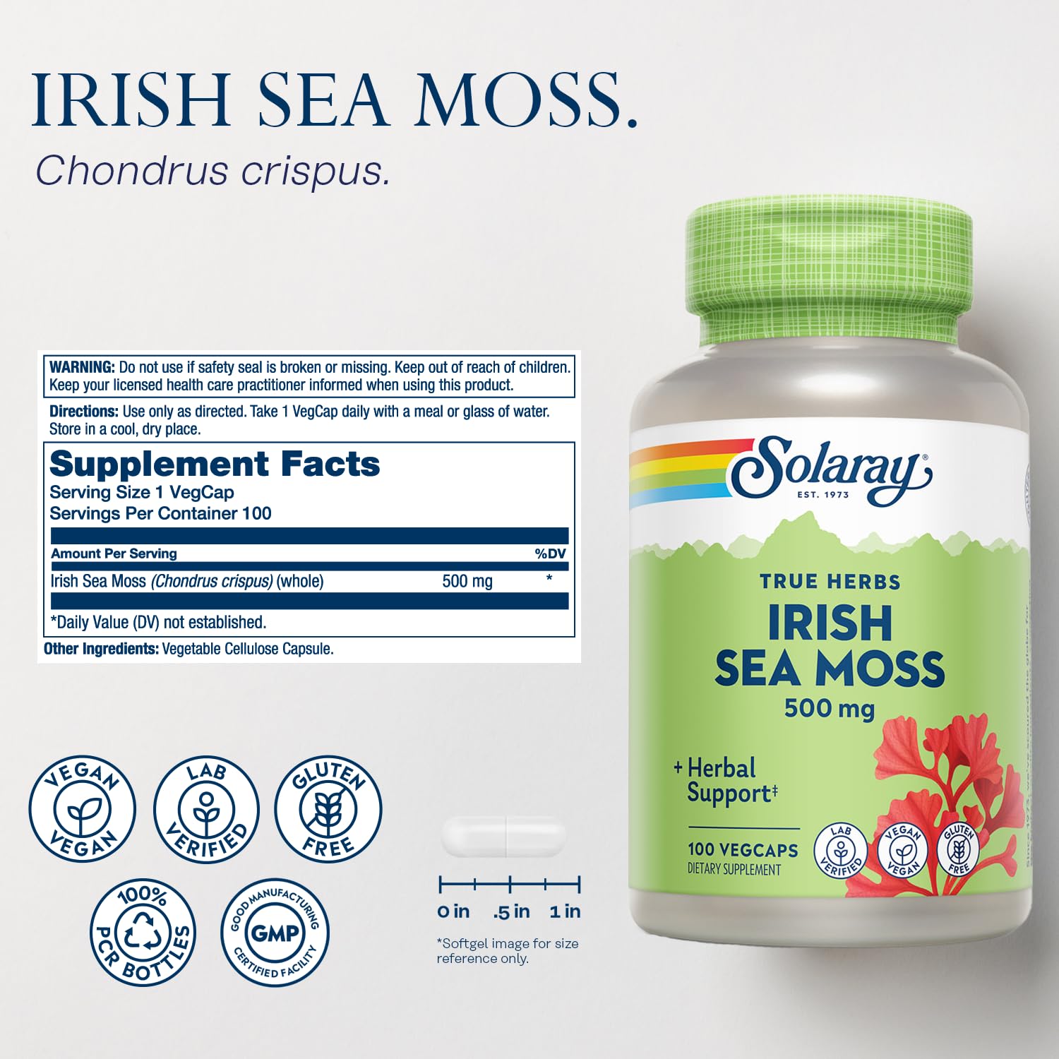 SOLARAY sea moss capsules close-up showing convenient 500 mg serving.