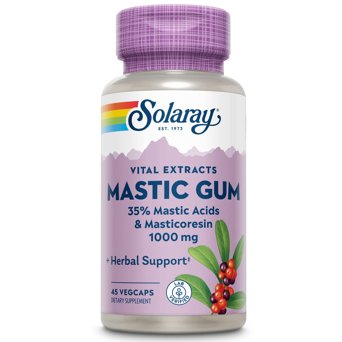SOLARAY Mastic Gum Extract capsules bottle highlight, offering digestive support with natural resin.