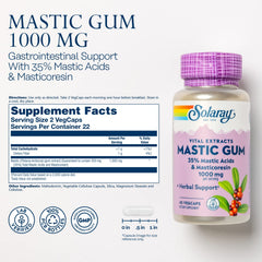 SOLARAY Mastic Gum Extract label close-up emphasizing 35% mastic acid content.