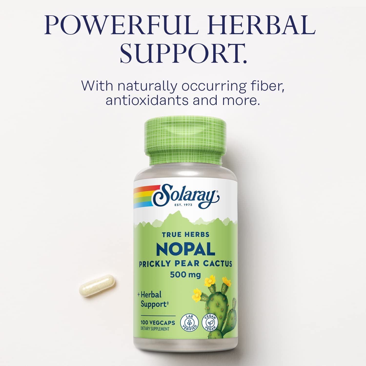 SOLARAY Nopal field of prickly pear plants conveys natural desert nourishment.