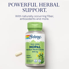 SOLARAY Nopal field of prickly pear plants conveys natural desert nourishment.