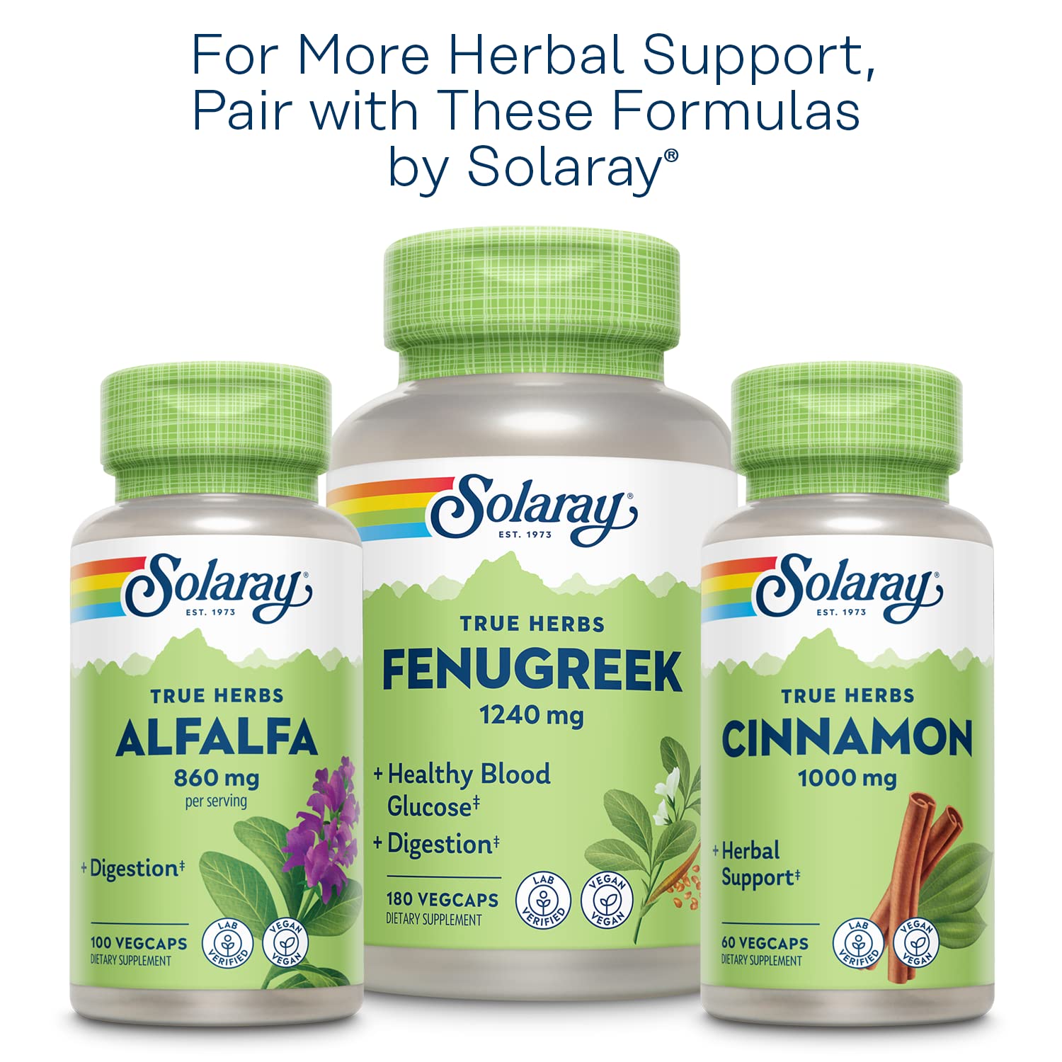 SOLARAY Nopal packaging shot communicates trusted vegan formula and decades of expertise.