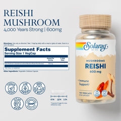 SOLARAY Reishi capsules in bottle close-up showcasing vegan immune-support capsules.