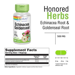 Close-up shows premium echinacea purpurea and angustifolia roots with goldenseal.