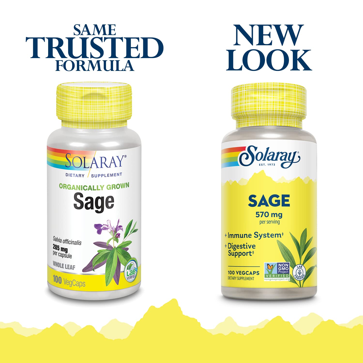 SOLARAY Sage Leaf capsules highlighting vegan, non-GMO herbal support