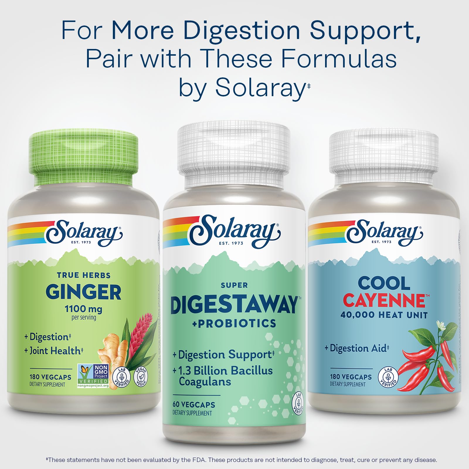 SOLARAY 60-serving bottle with 60-day guarantee offers value and assurance.