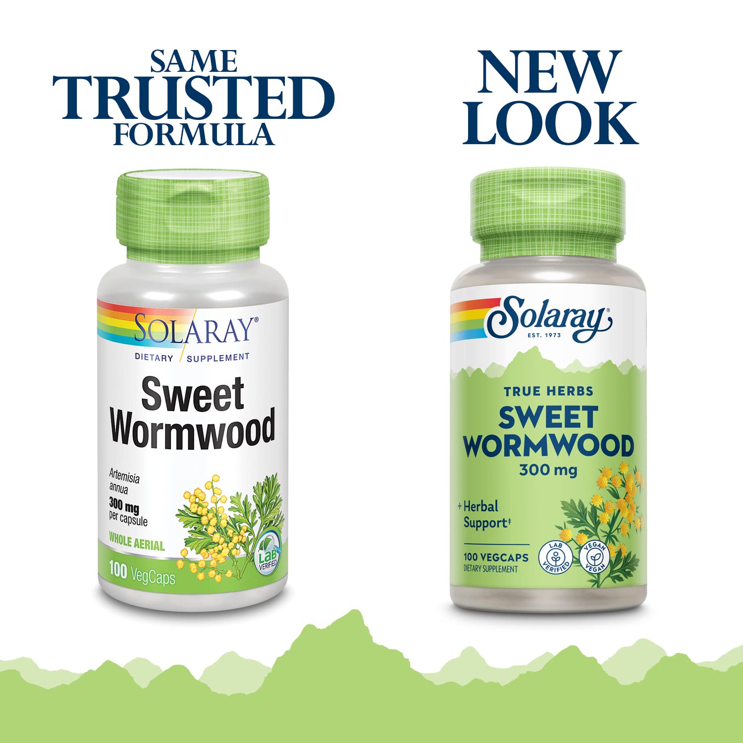 Solaray Sweet Wormwood capsules for daily wellness routines and balance.