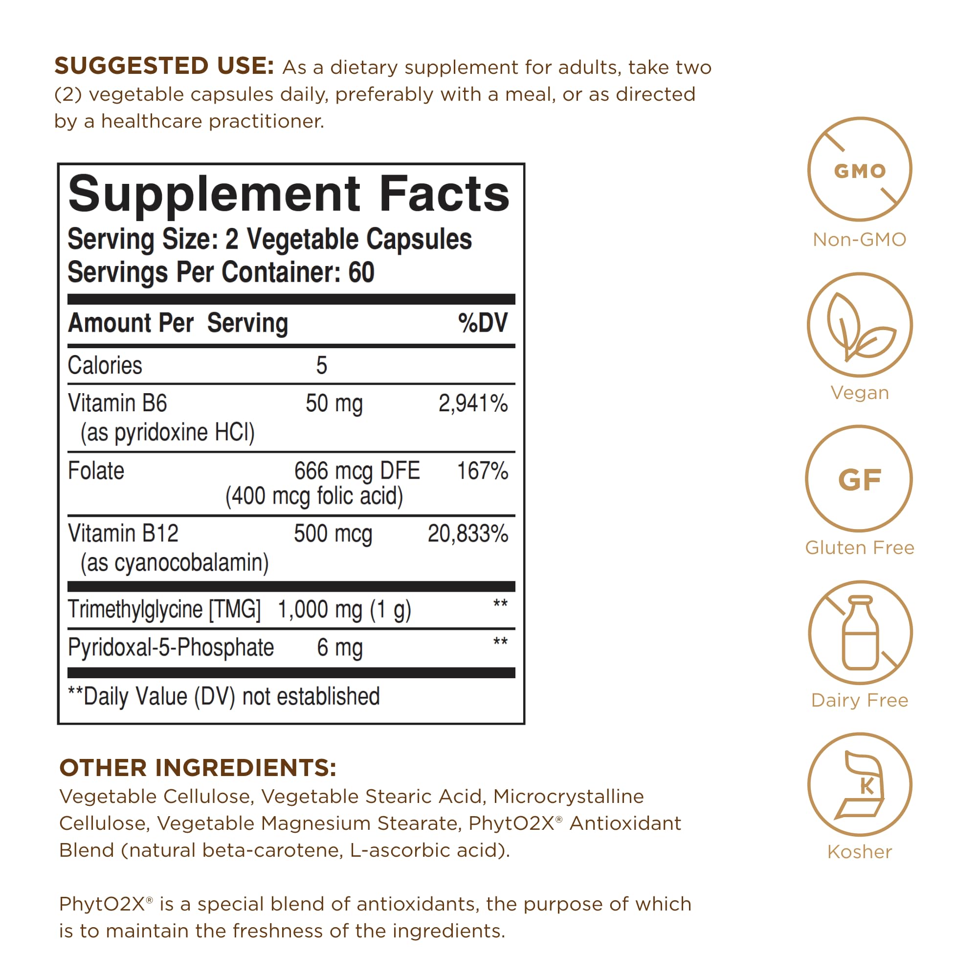 Solgar Homocysteine Modulators capsules in hand for easy daily intake