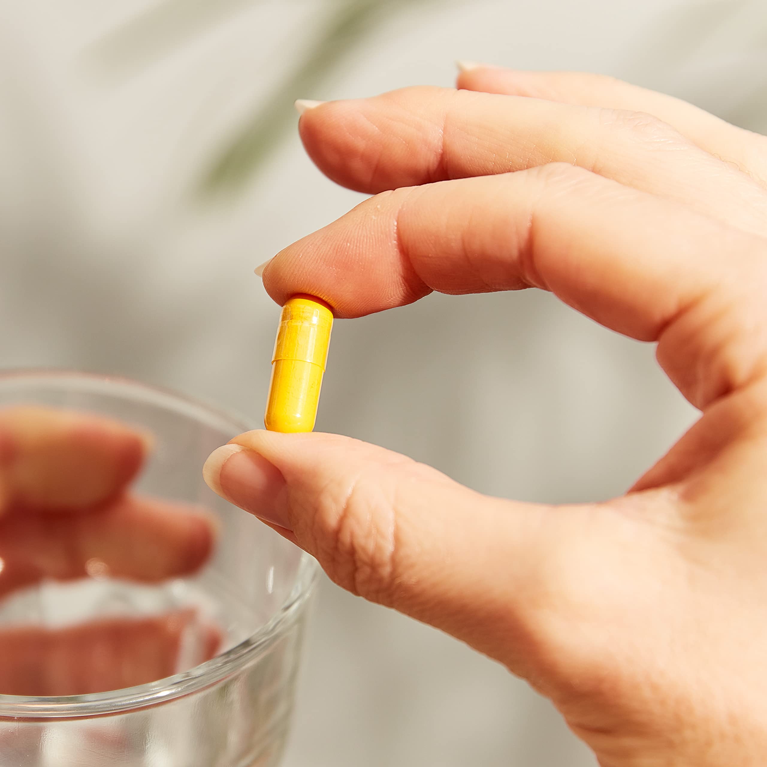 Solgar label emphasizes standardized turmeric root extract potency for consistency.