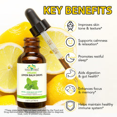 SOLOTREE Lemon Balm Drops label close-up highlighting vegan, non-GMO ingredients.