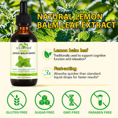 SOLOTREE Lemon Balm Drops liquid in a glass with lemon garnish for a soothing routine.