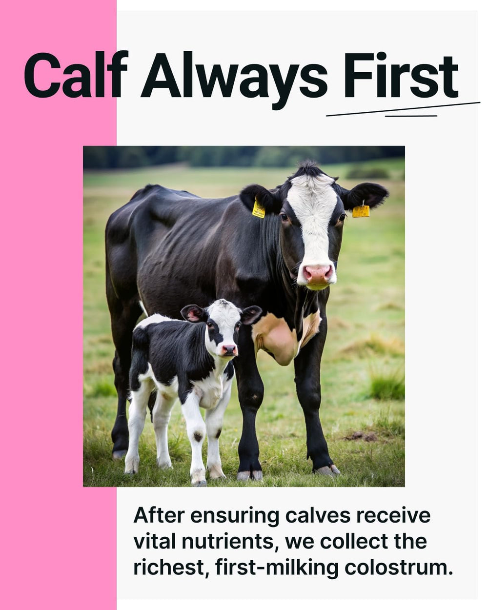 SonoHealth Cowabunga Colostrum on-shelf display presents a premium wellness option.