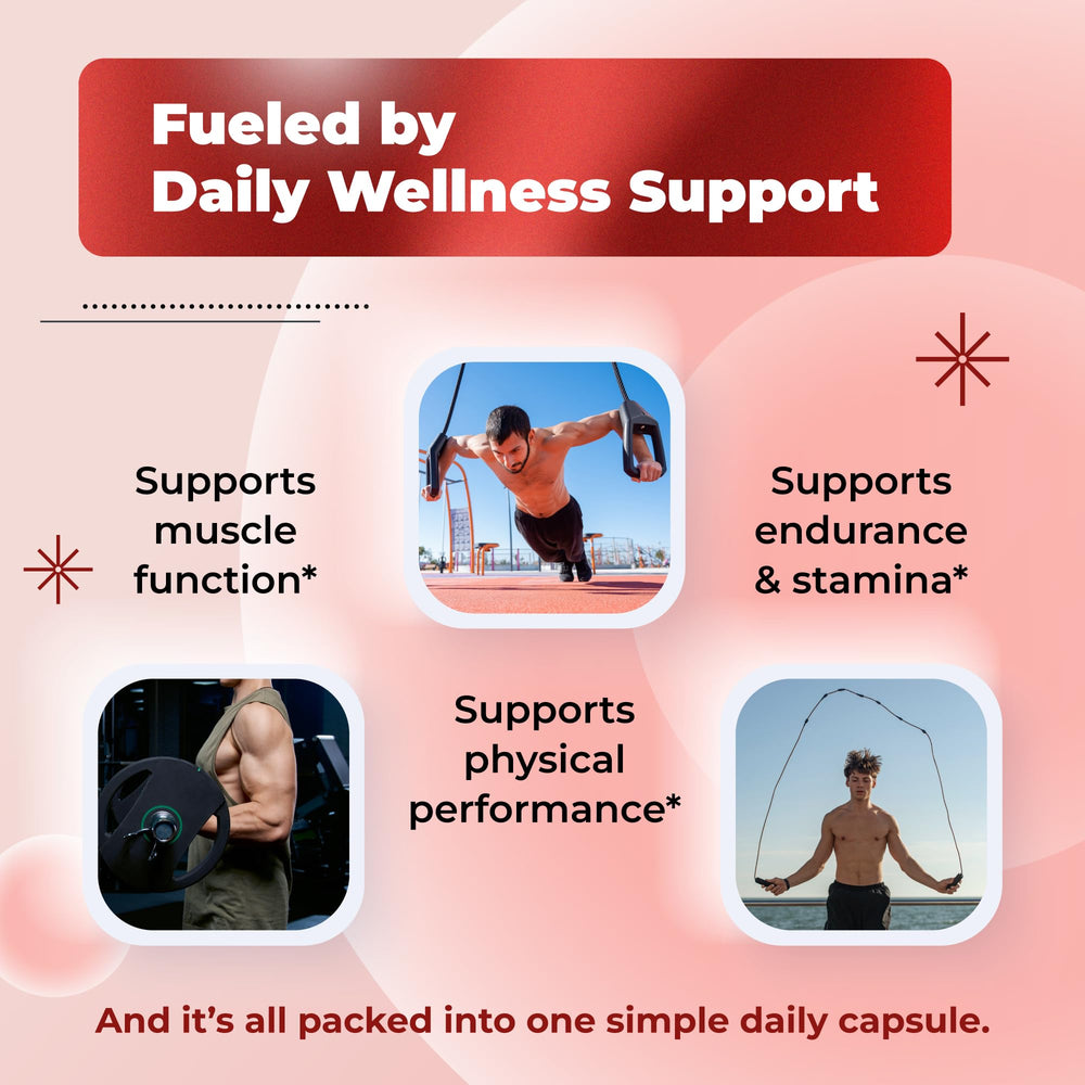 Sotalix maca root capsule highlighting endurance potential.