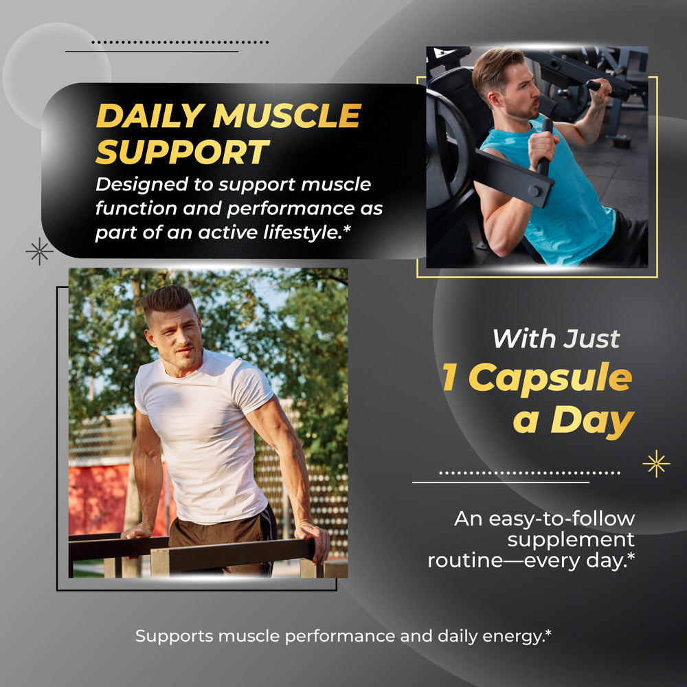 Sotalix Muscle Builder ingredient panel highlights eight premium components for performance nutrition